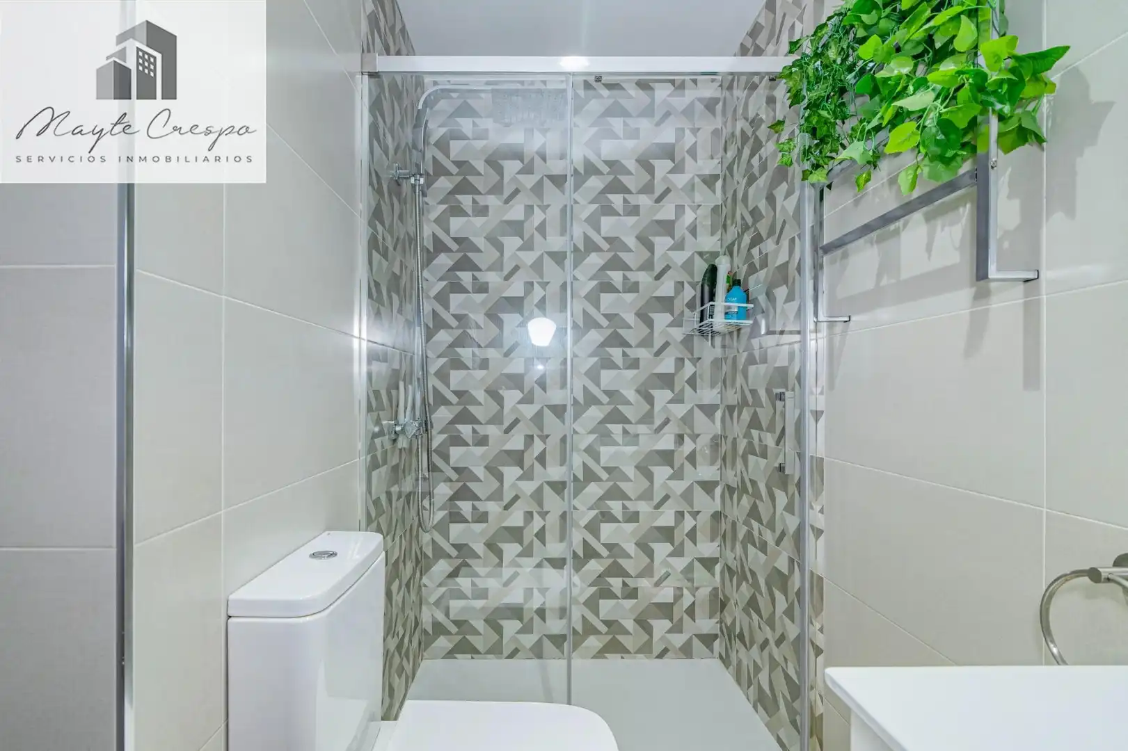 Duplex con ascensore in vendita a Las Tres Cruces, imagen 27