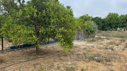 Photo 5 of Land for sale in El Rocío - La Milagrosa, Cádiz