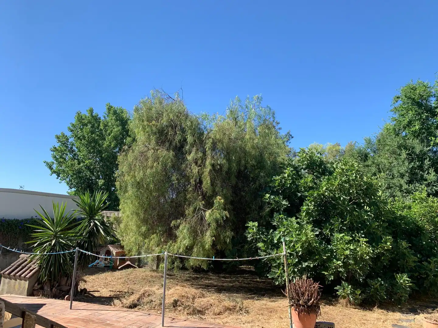 Casa o xalet en venda en Tomares amb Jardí privat, Terrassa i Traster