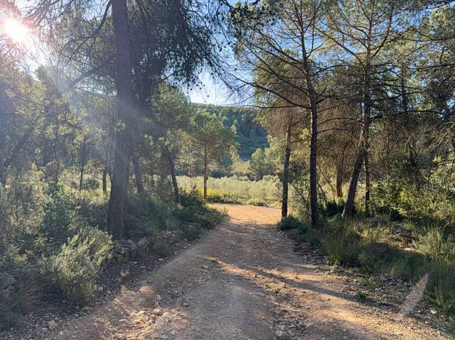 Terreno en Venta en Subirats