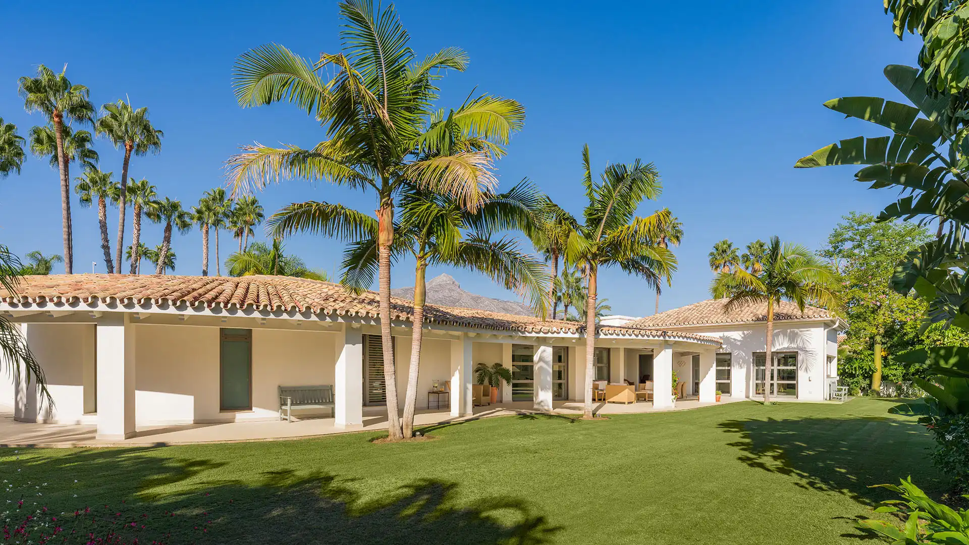 Casa con terraza en venta en Nueva Andalucía, imagen 2