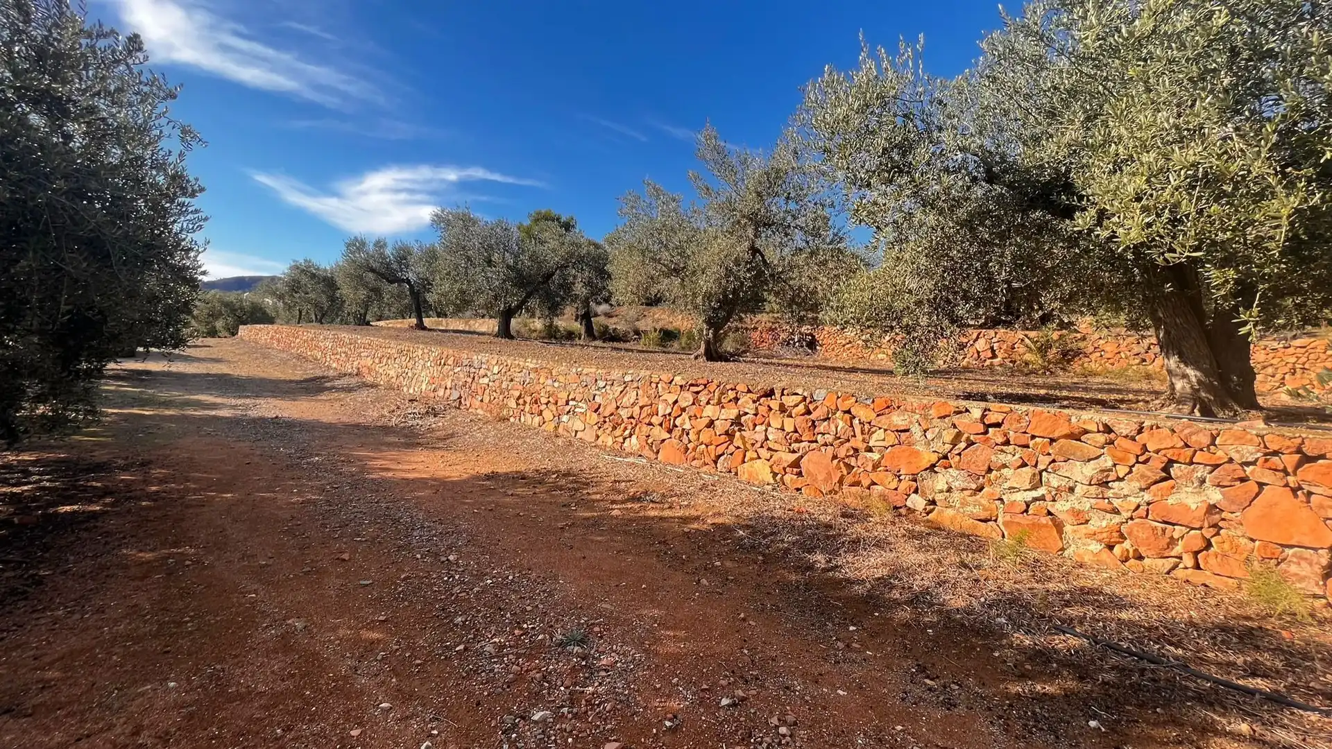 Terreno rustico in vendita a Carrer de Sant Abdó i Sant Senén, imagen 14