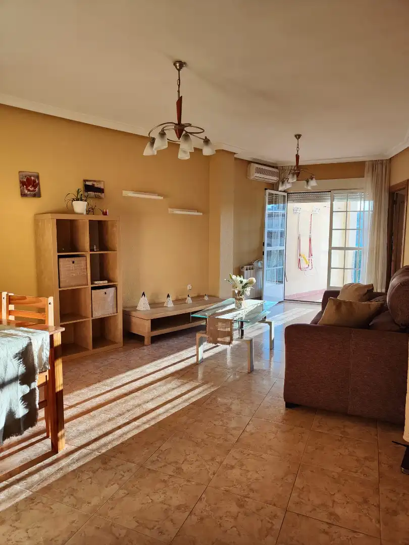 Living room of Flat for rent in Plasencia  with Air Conditioner, Heating and Terrace