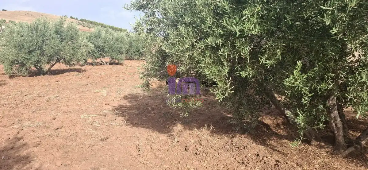 Casa o xalet en venda en Valdepeñas amb Jardí privat i Piscina
