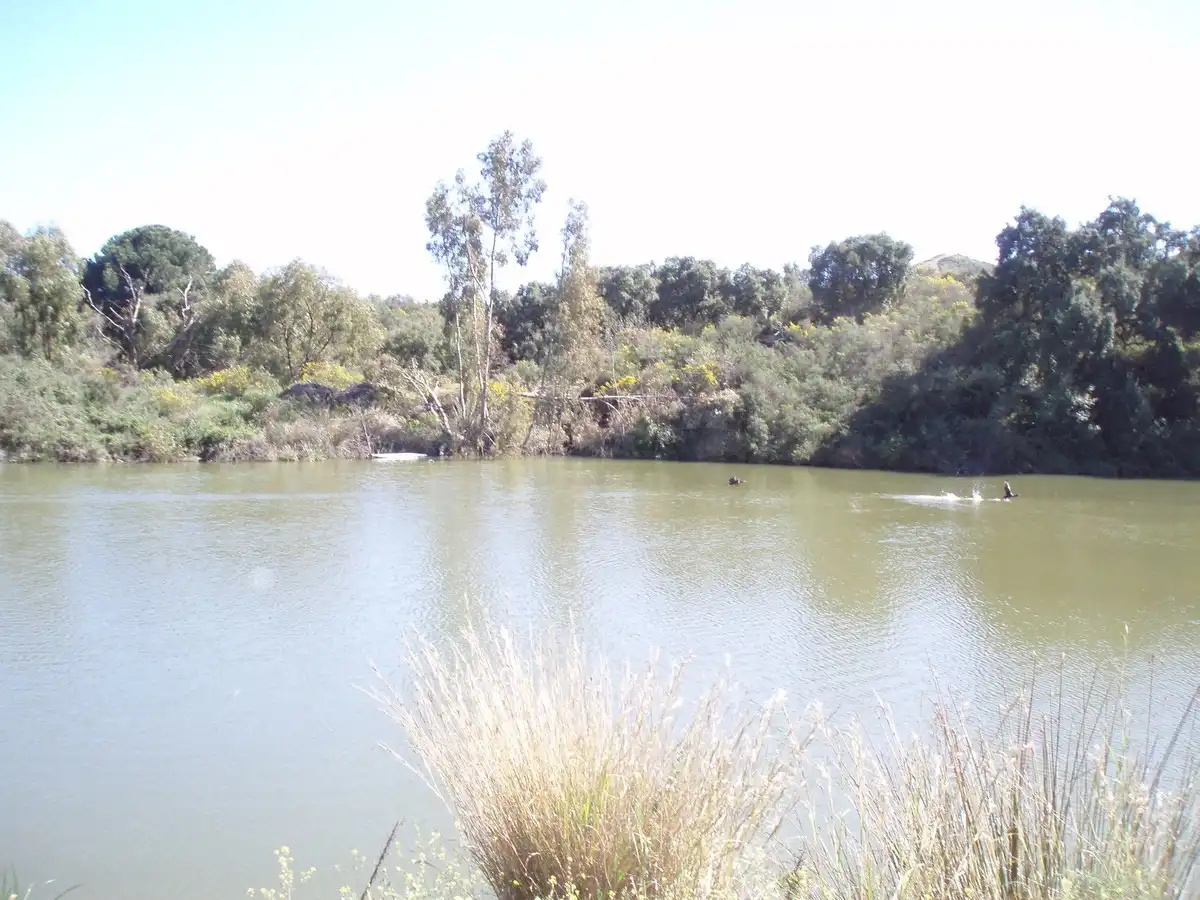 Piscina de Residencial en venda en Mijas