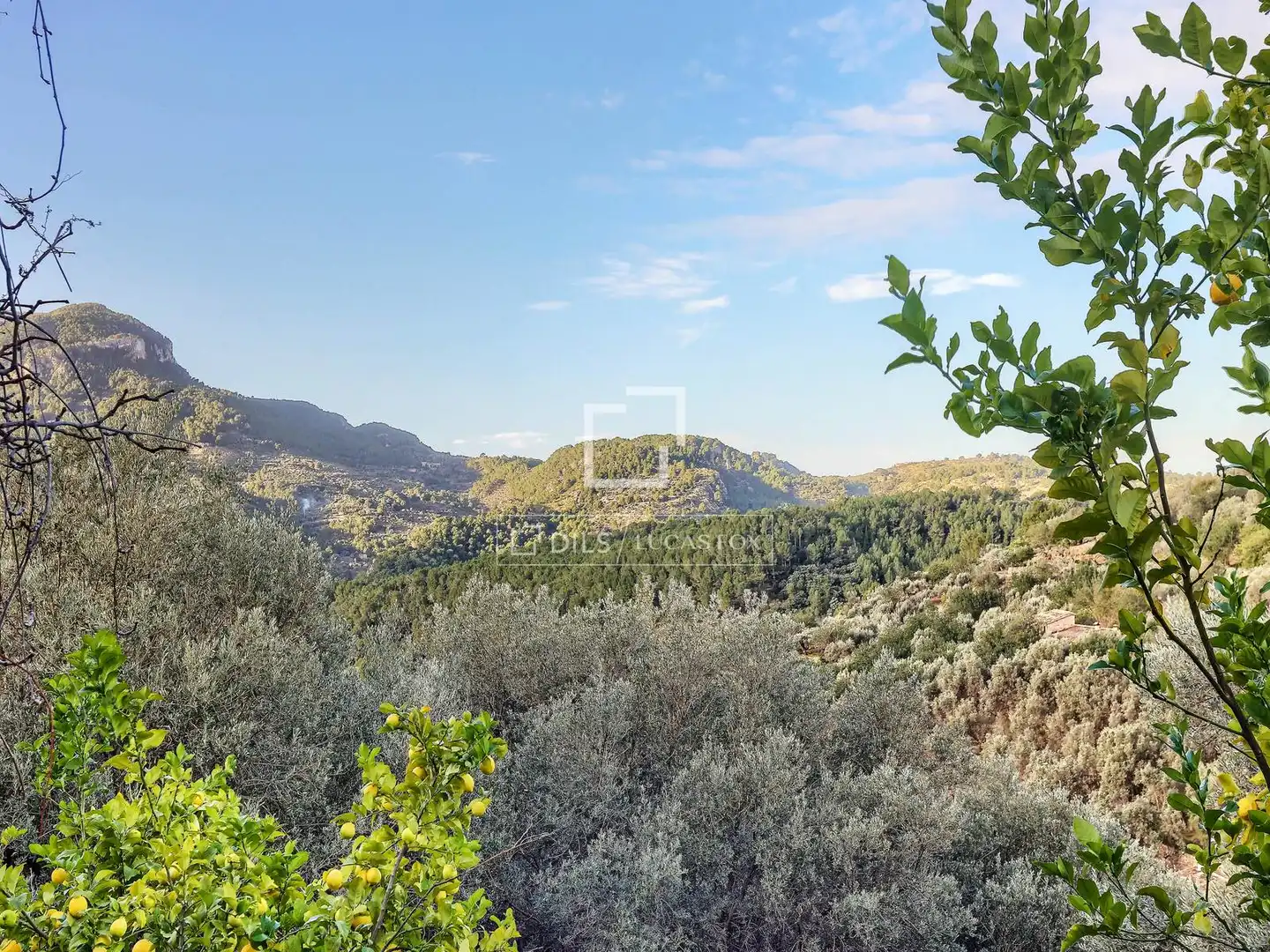 Casa rústica con jardín en venta en Sóller, imagen 34