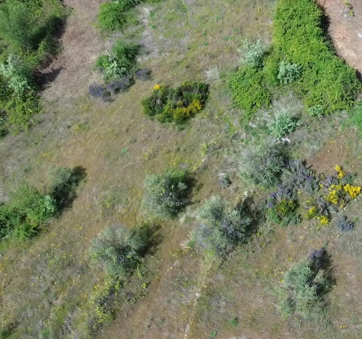 Terreni e lotti in vendita a Viandar de la Vera, imagen 8