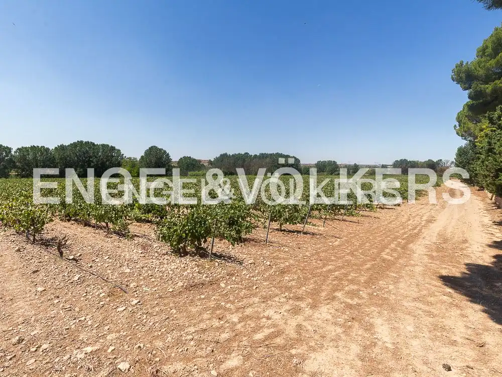Casa rústica con piscina en venta en Requena, imagen 47