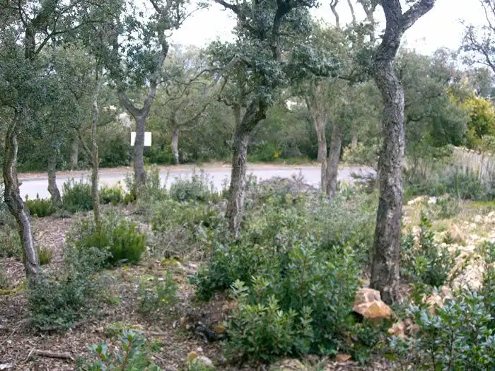 Terreny residencial en venda a Romanyà
