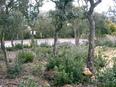 Terreno residencial en venta en Romanyà