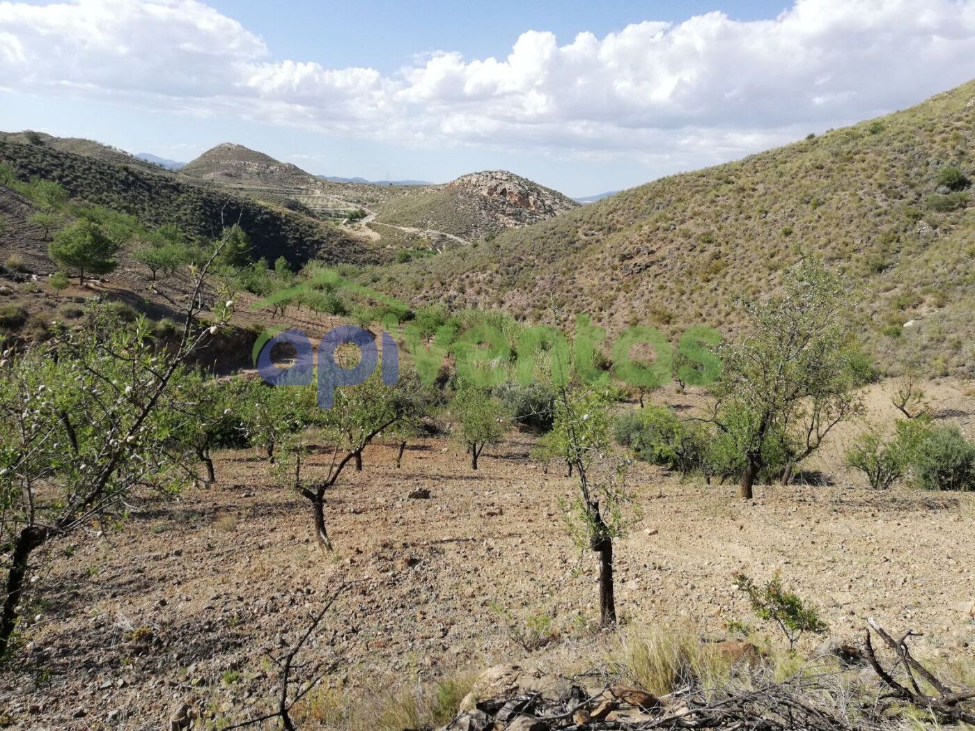 Finca rústica en venda en Lorca