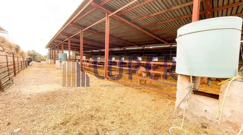 Foto 4 de Finca rústica en venta en Pla de la Vallonga, Alicante / Alacant