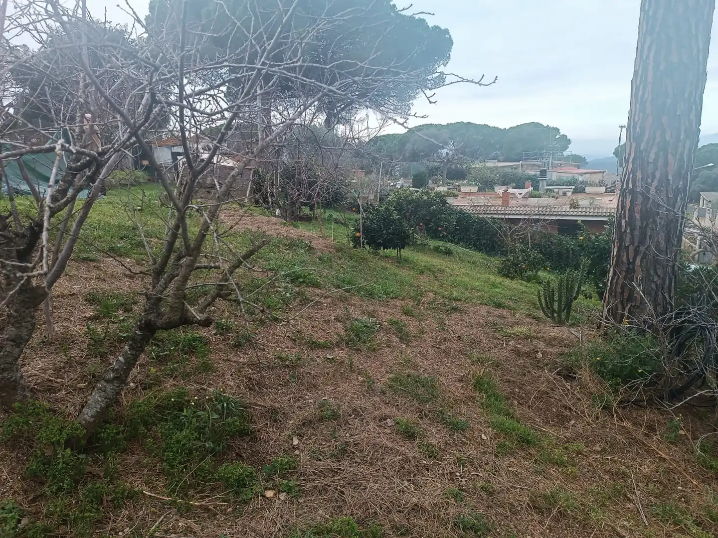 Terreno residencial en venta en Lloret Residencial - Montlloret, imagen 10