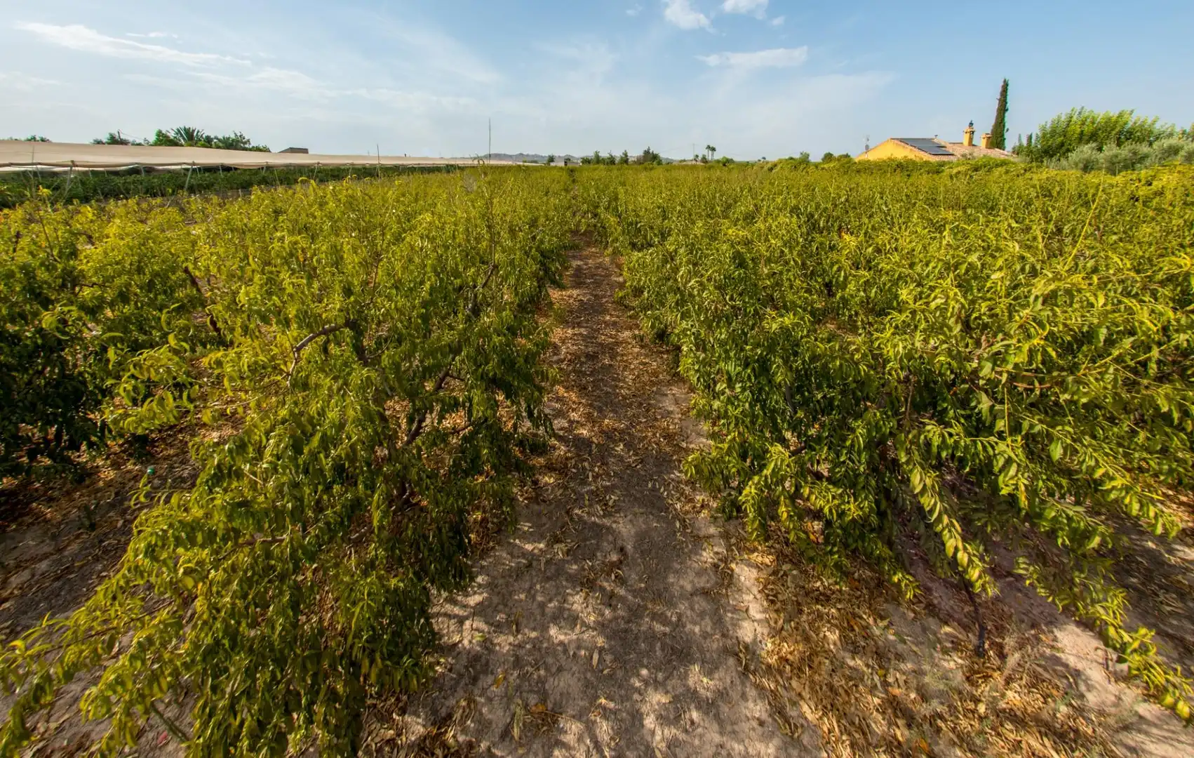 Haus oder Chalet zum Verkauf in Murcia, Murcia