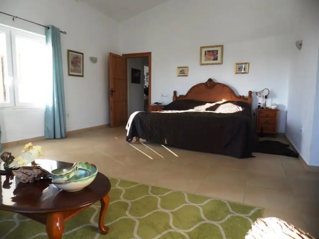 Casa rústica amb jardí en venda a Canillas de Aceituno, imagen 23