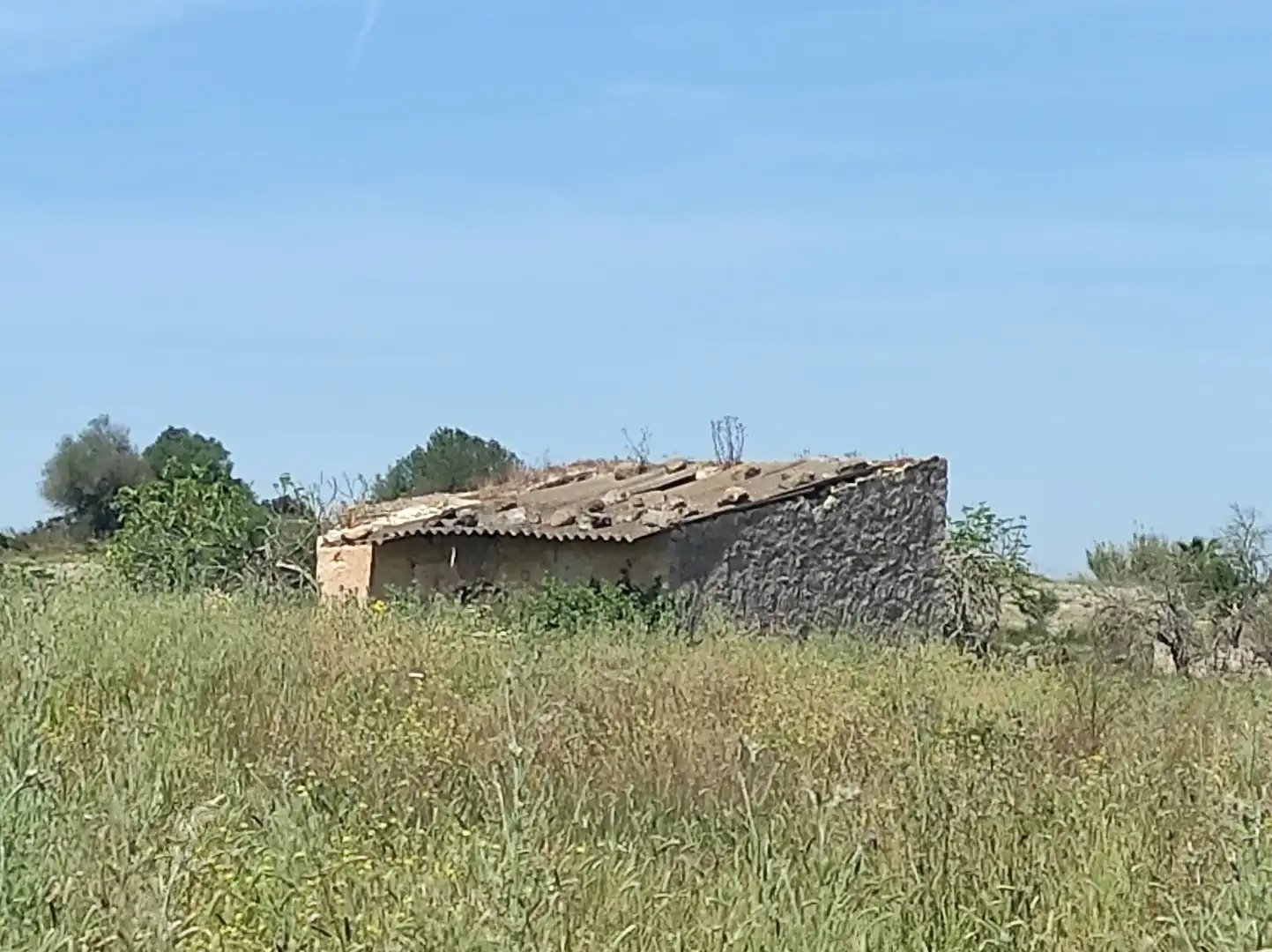 Außenansicht von Residential zum Verkauf in Sineu