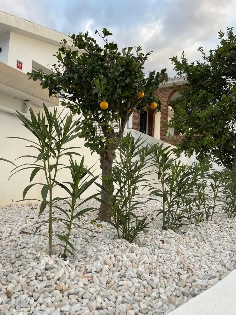 Chalet con piscina en venta en Cerros del Aguila, imagen 66