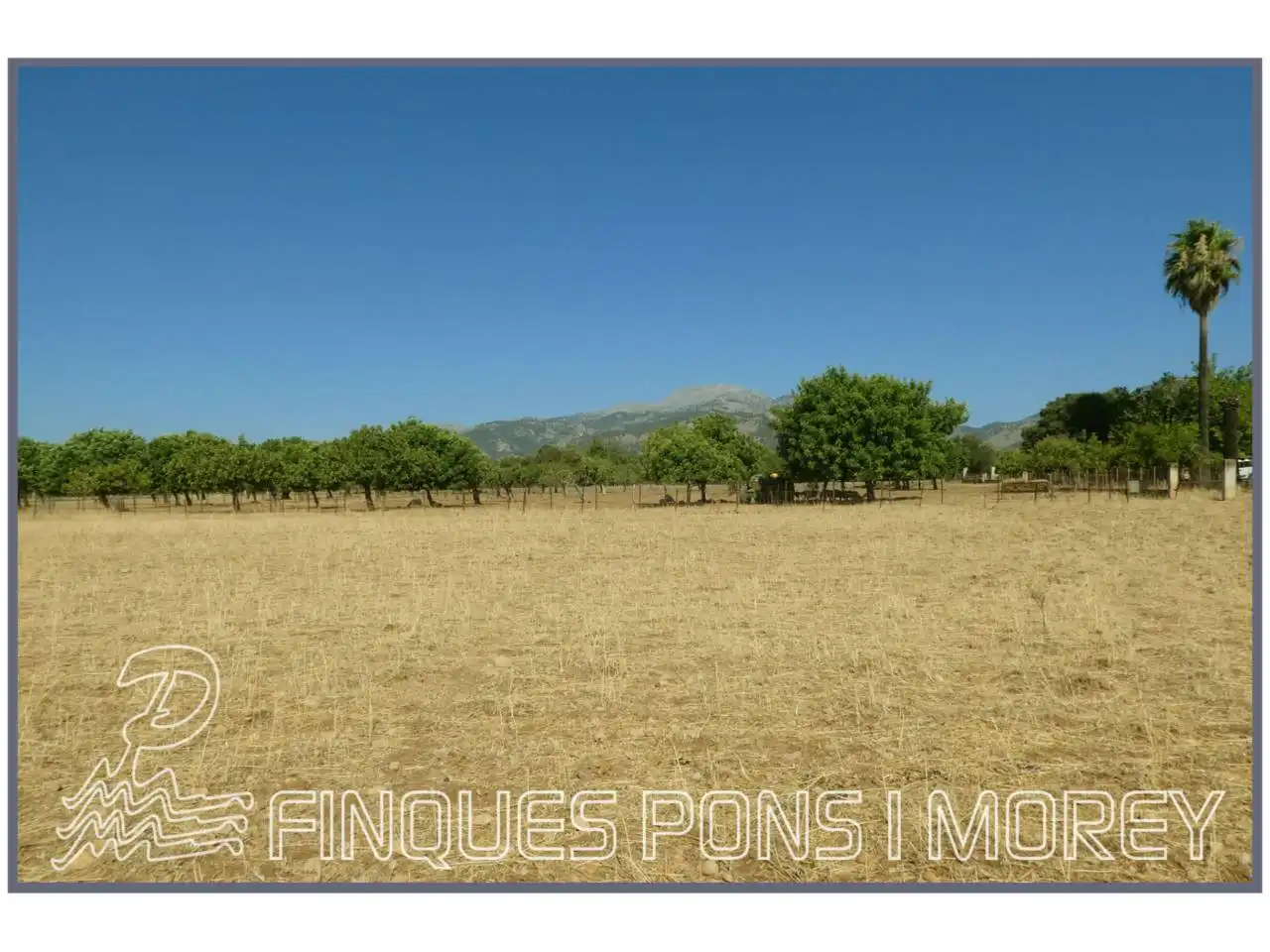 Finca rústica en venda en Campanet