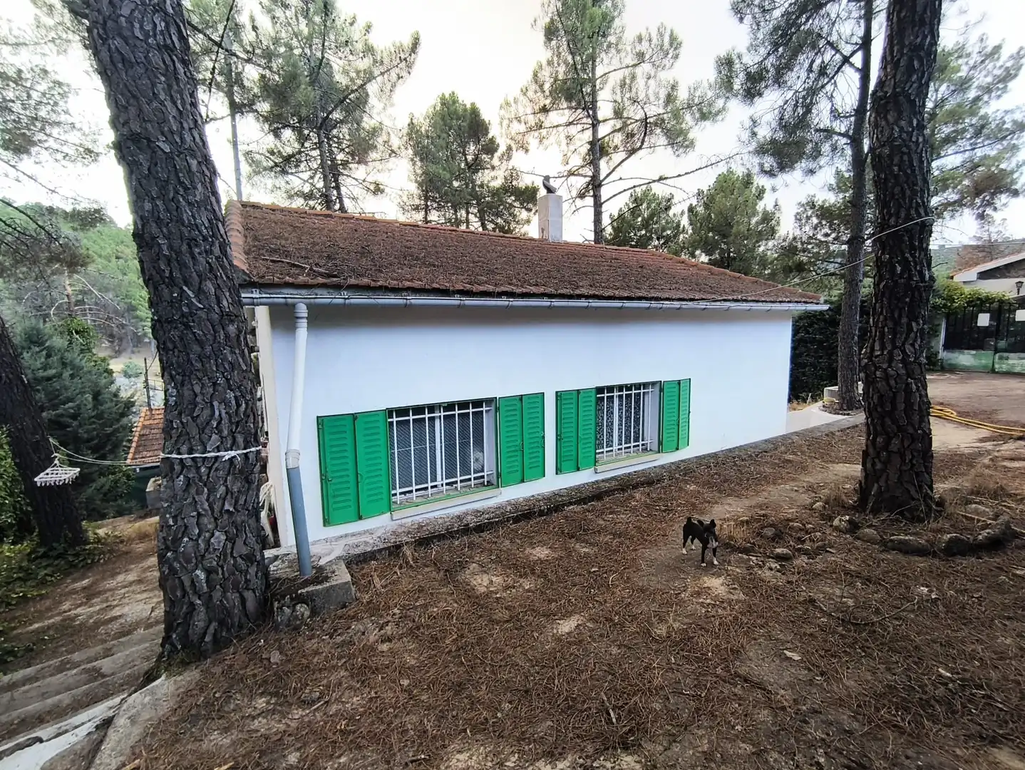 Vista exterior de Casa o chalet en venta en Santa María de la Alameda con Jardín privado, Terraza y Trastero