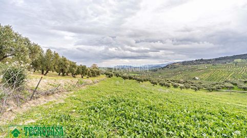 Terrenos en venta en Alozaina, immagine 5