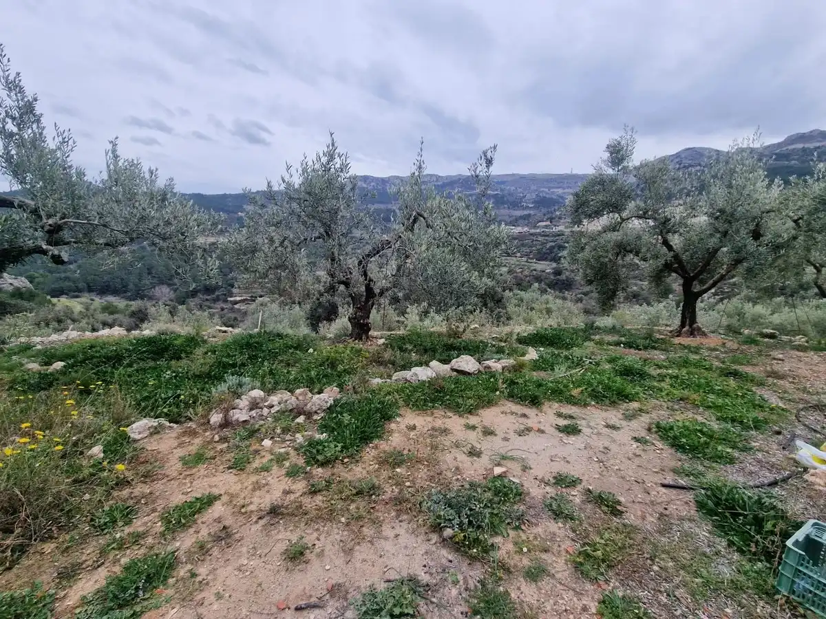 Maison rustique à vendre à Confrides, imagen 16