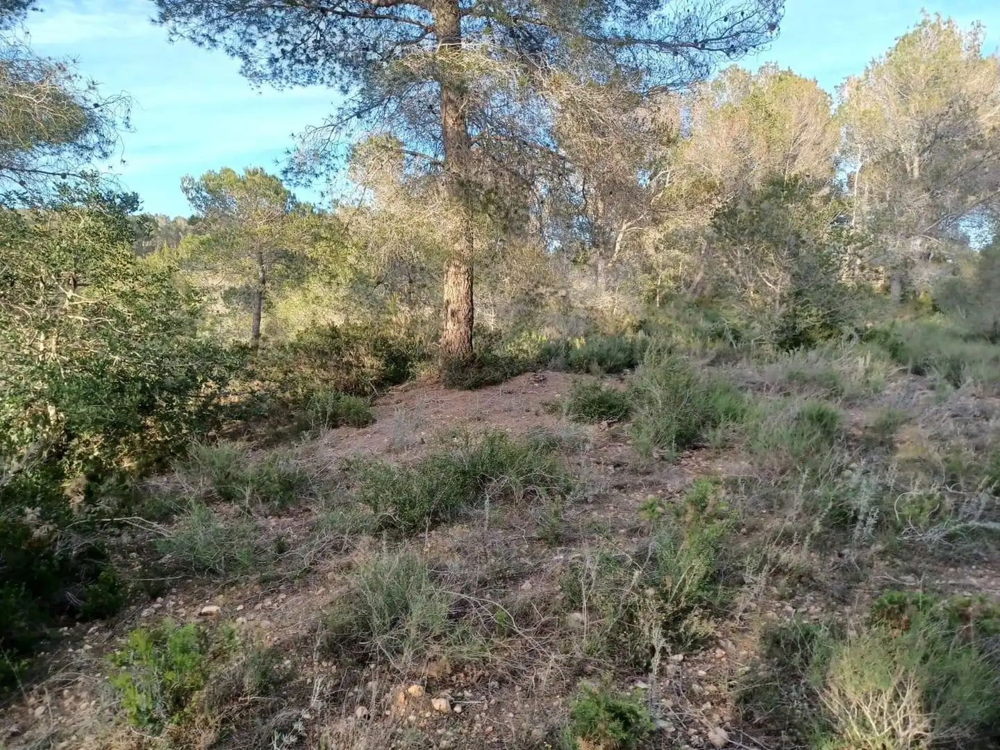 Terreno residencial en venta en dels Morts, imagen 3