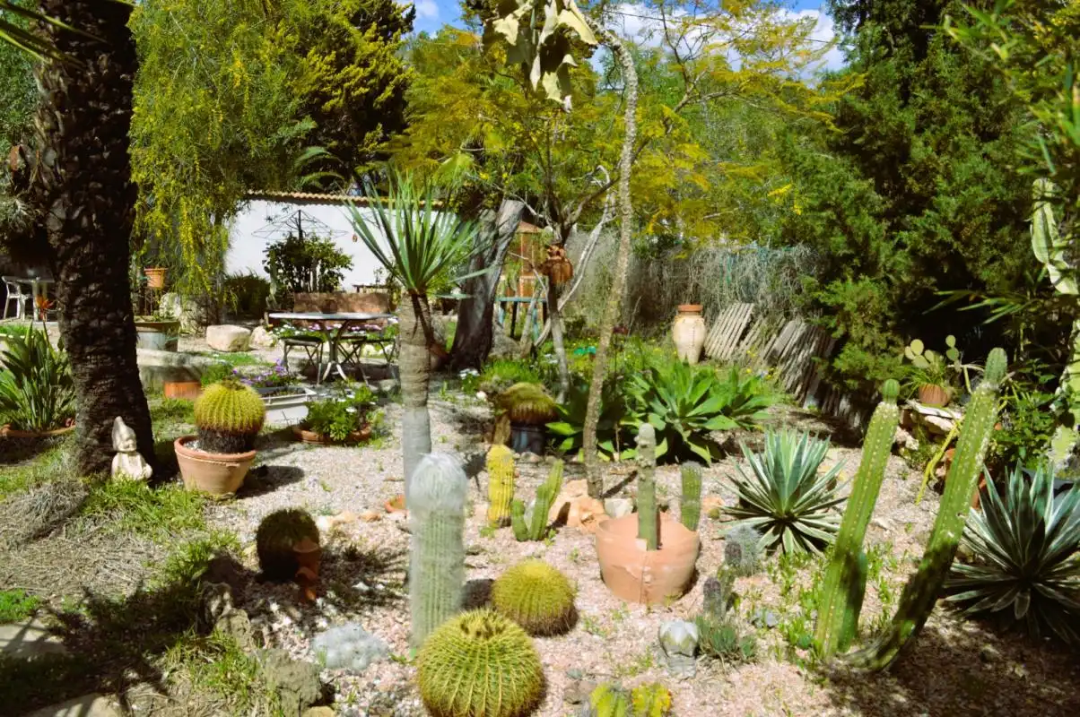 Jardí de Casa o xalet en venda en Orihuela amb Aire condicionat, Calefacció i Jardí privat