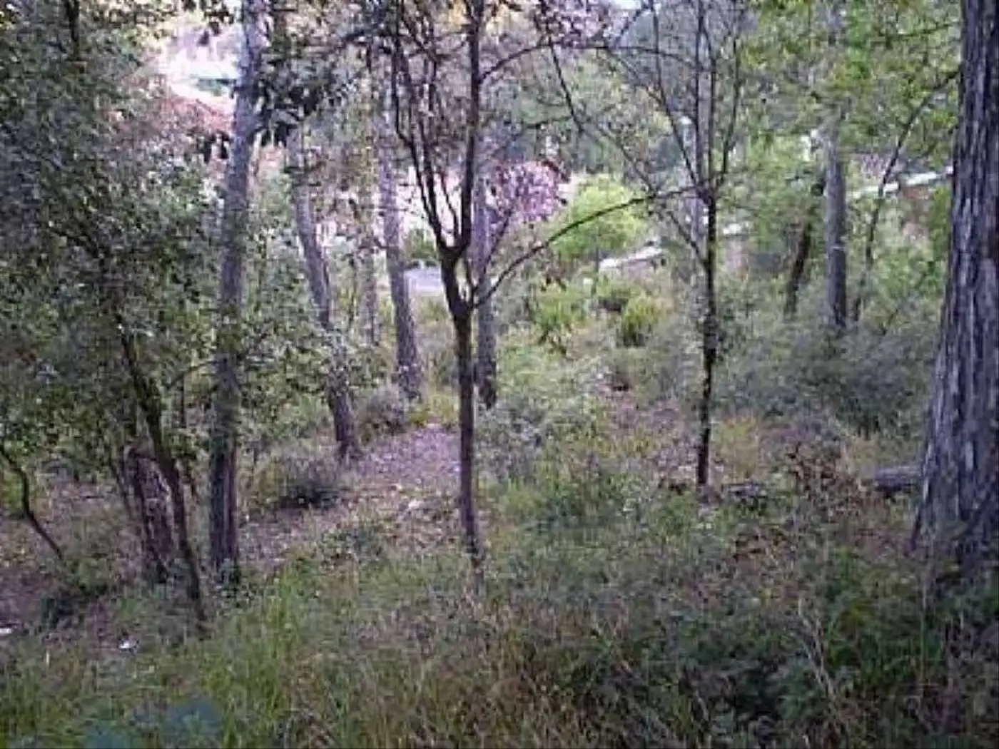 Wohnbaugrundstück zum Verkauf in Cervelló, imagen 10