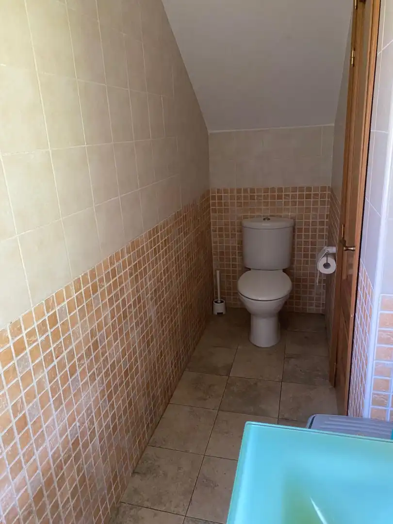 Bathroom of Houses for rent in Las Regueras    with Heating, Terrace and Furnished