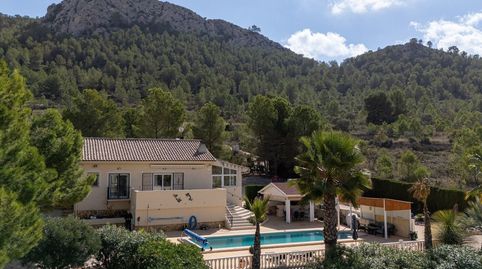 Foto 4 de Casa o chalet en venta en Jumilla, Murcia