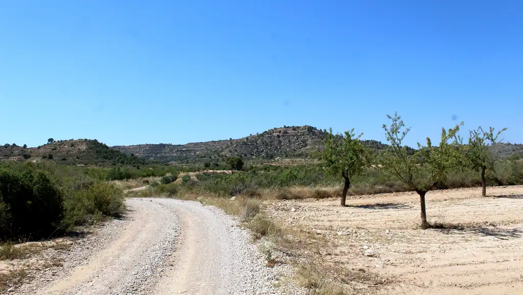 Casa rústica en venda a Maella, imagen 14