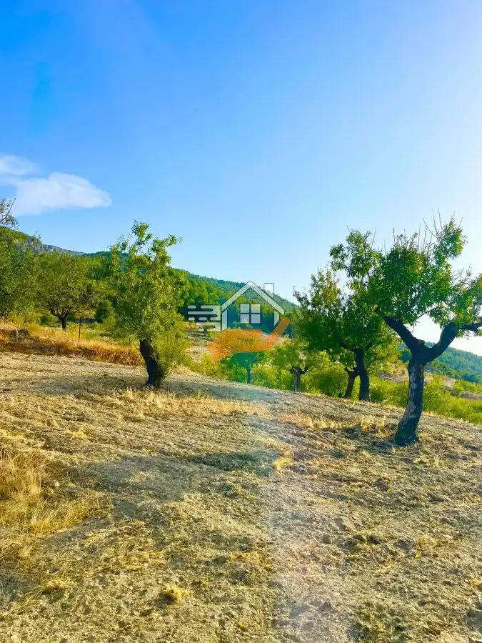 Residential land for sale in Vélez-Rubio, imagen 3