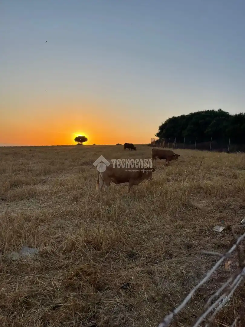 Wohnbaugrundstück zum Verkauf in Vejer, imagen 9