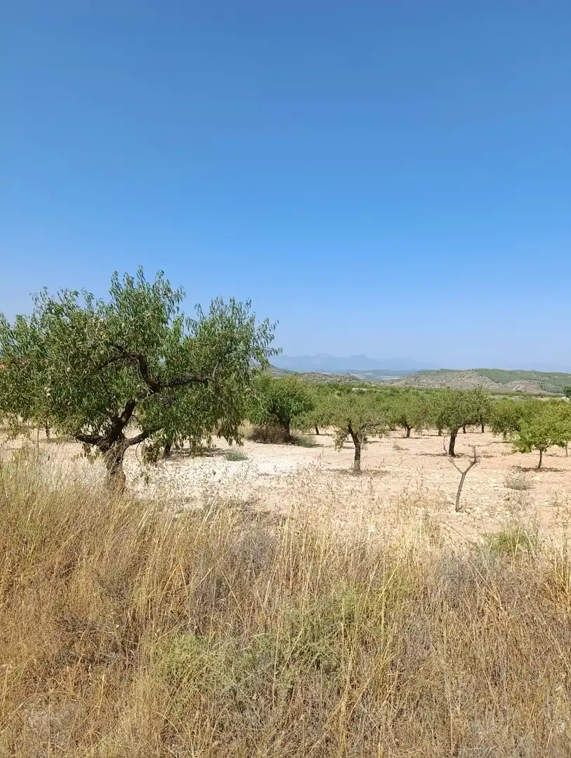 Maison rustique à vendre à Bullas, imagen 5