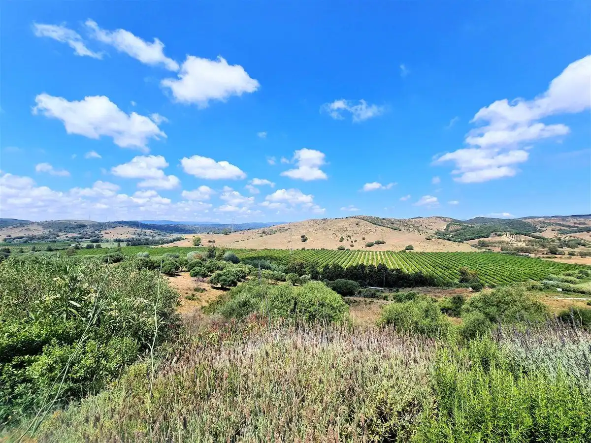 Vista exterior de Finca rústica en venda en San Martín del Tesorillo amb Piscina