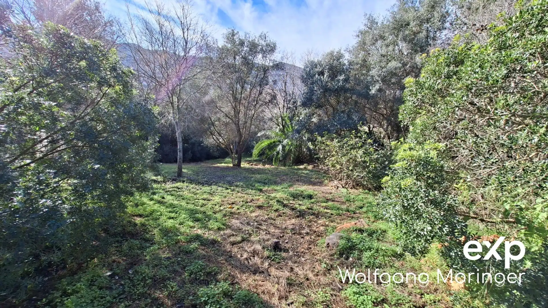 Terreny residencial en venda a Calle Corral de Calafat 104, imagen 5