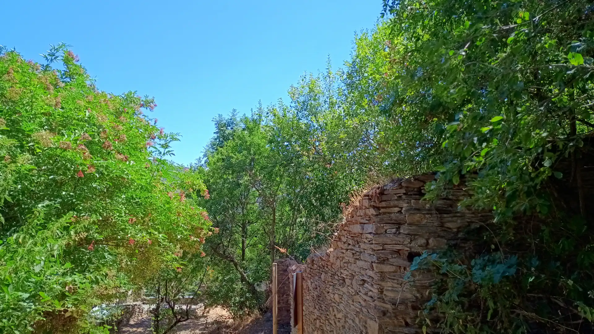 Casa rústica en venta en Carrer Unica 48, imagen 2