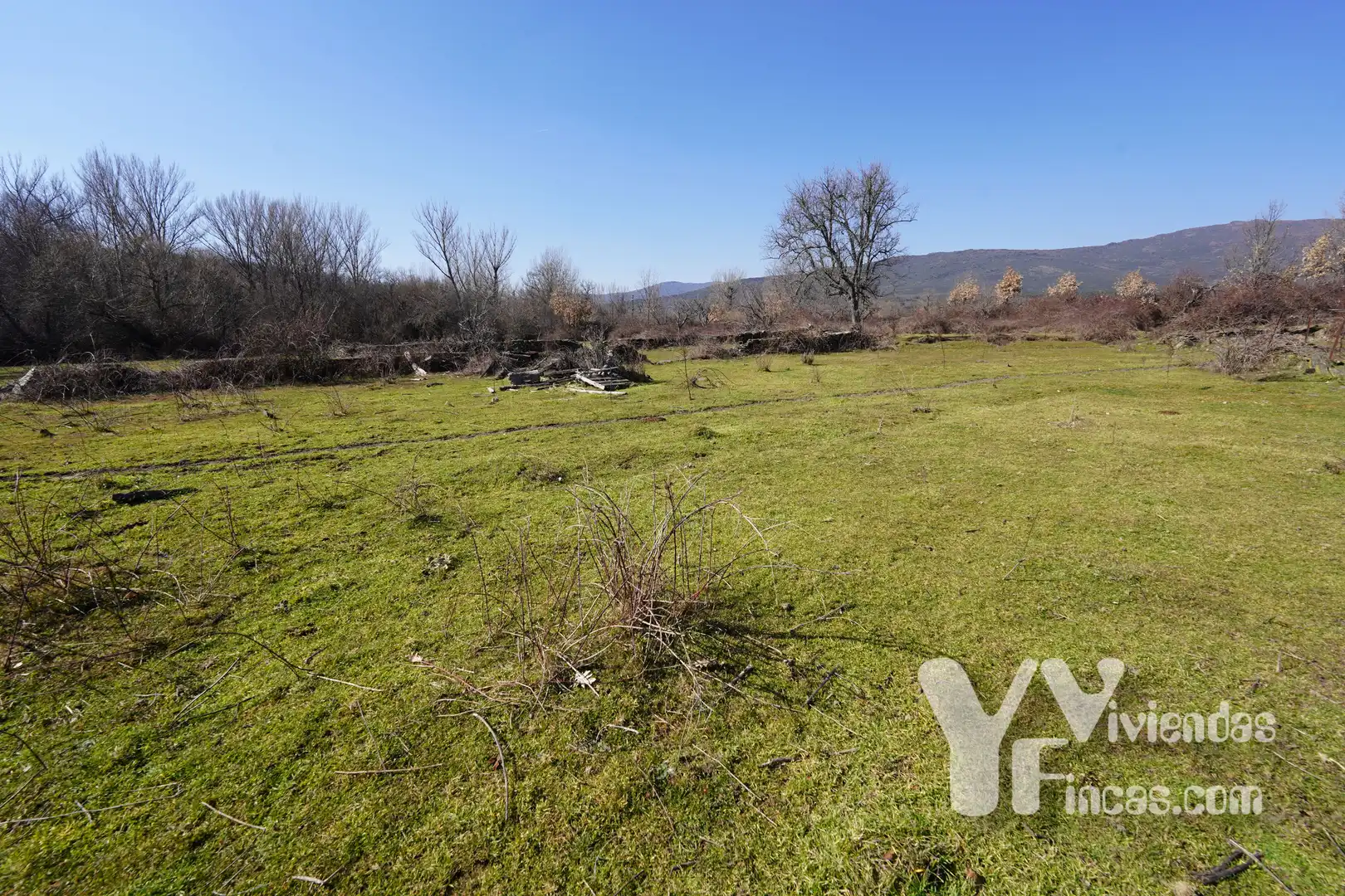 Terreno rústico en venta en Campillo de Ranas, imagen 5