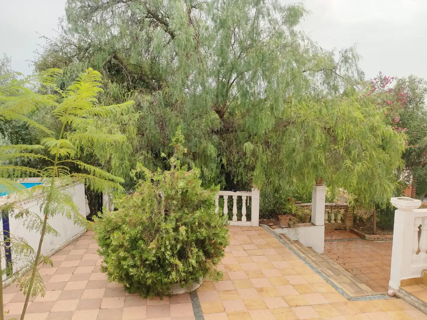 Jardín de Casa o chalet en venta en Turís con Jardín privado, Terraza y Trastero