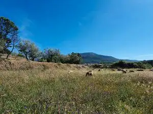 Terreni e lotti in vendita a Jarandilla de la Vera, imagen 11