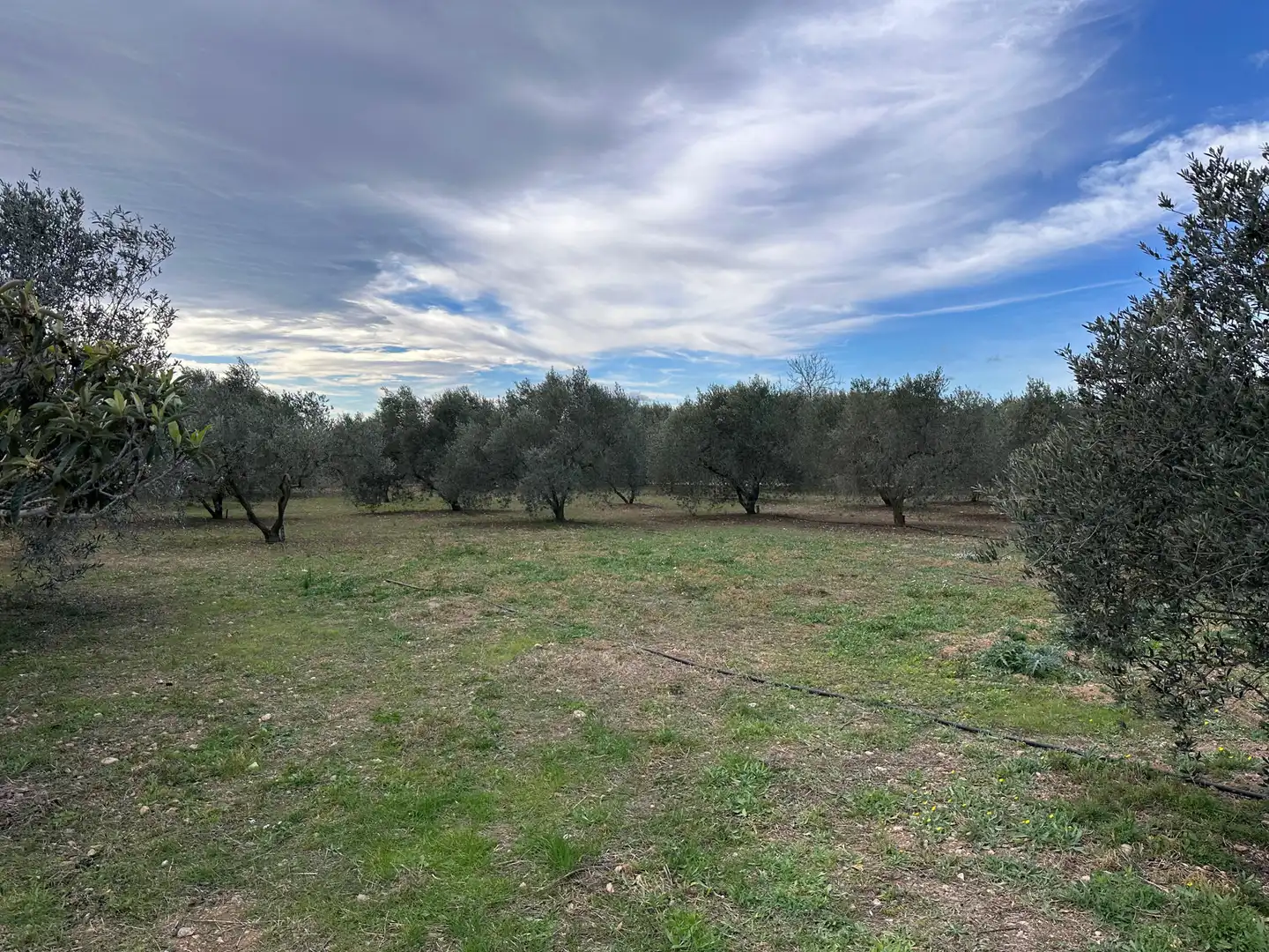 Finca rústica en venta en Valls con Aire acondicionado, Calefacción y Jardín privado