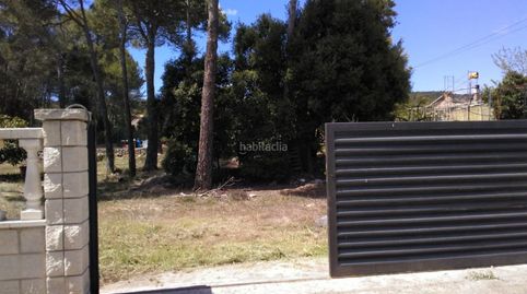 Solar con árboles frutales, immagine 2