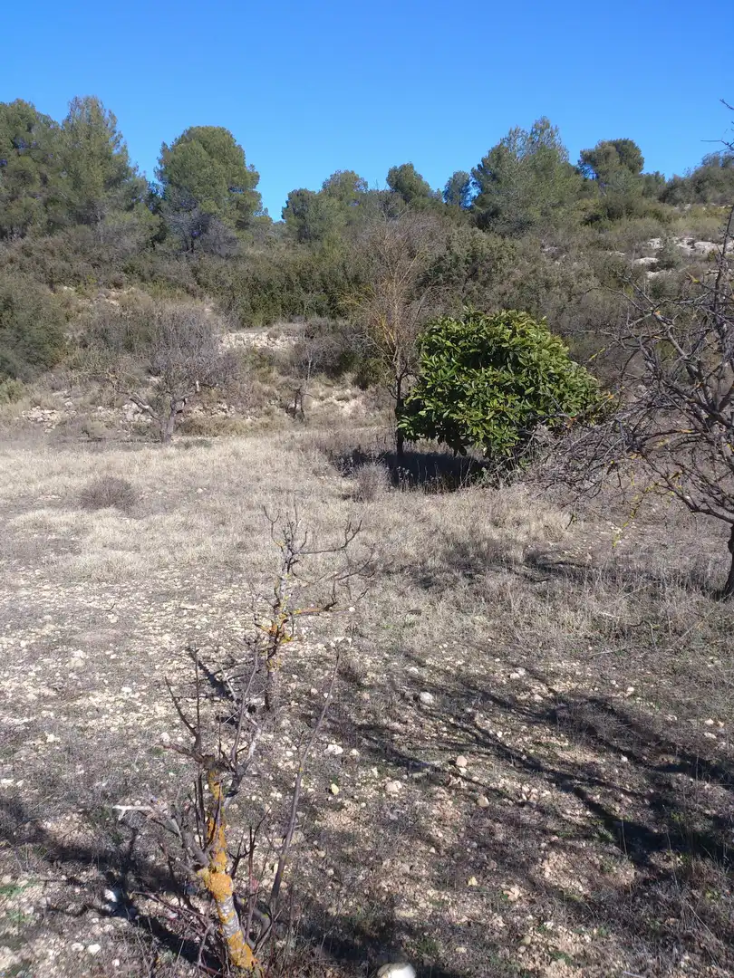 Country homes for sale in La Font de la Figuera