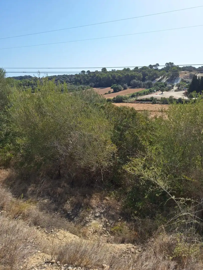 Terreny rústic en venda a Muro, imagen 17