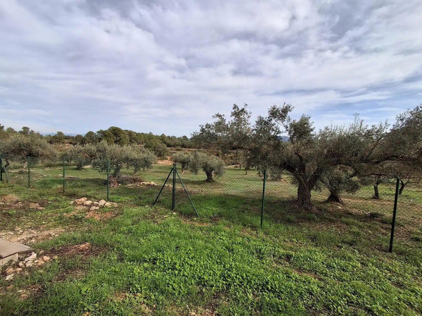 Finca rústica en venta en Rasquera