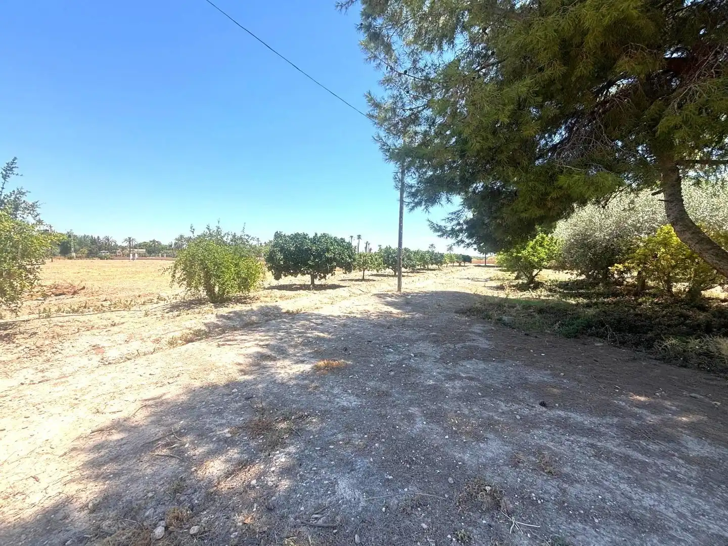 Houses for sale in Elche / Elx