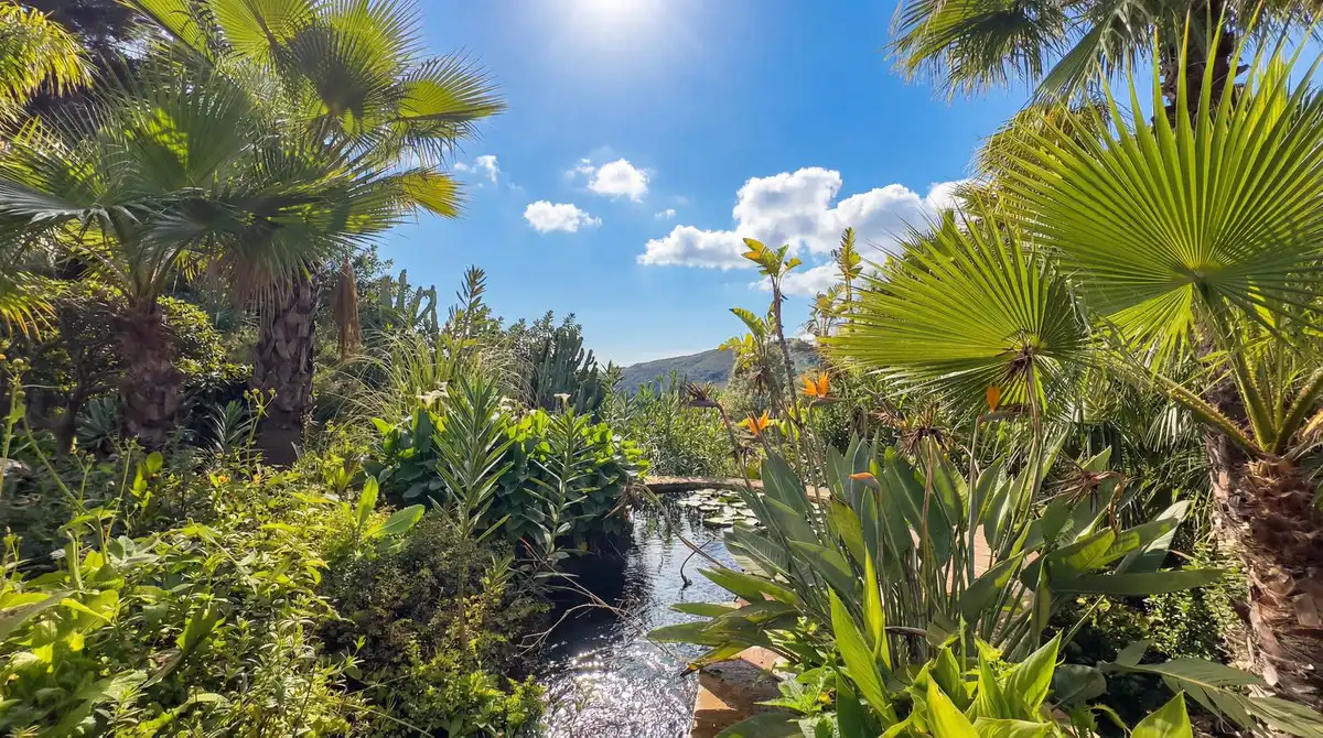 Jardí de Finca rústica en venda en Alhaurín El Grande amb Aire condicionat, Jardí privat i Terrassa