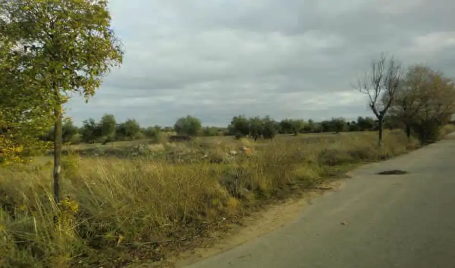 Terreny residencial en venda a PARAJE DE LOS ADOBES, imagen 7