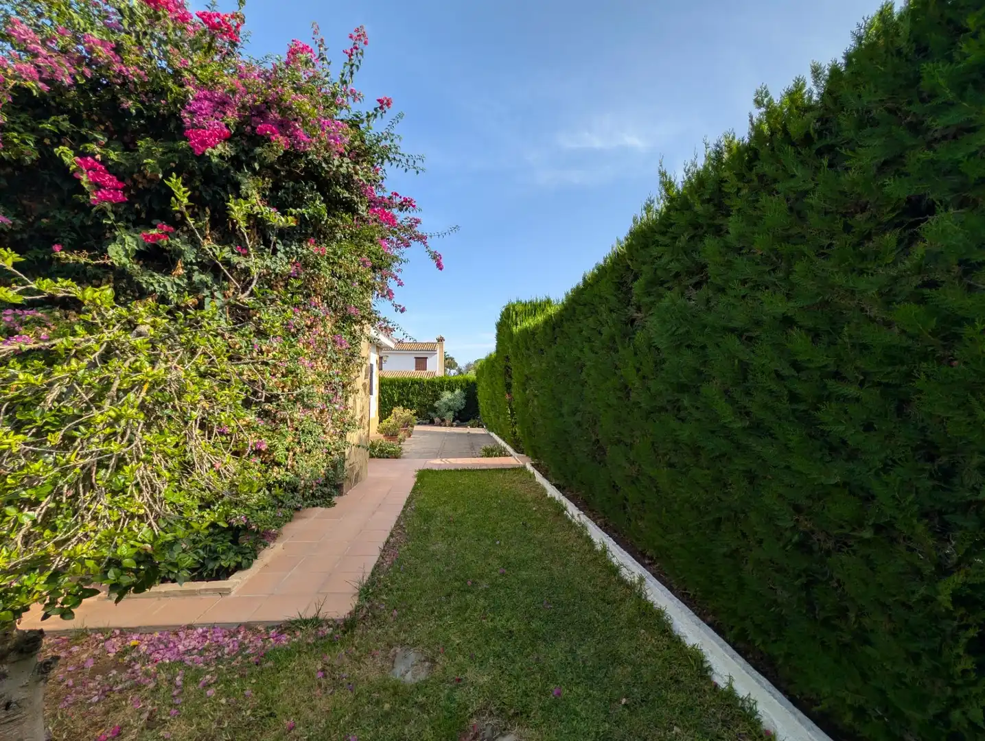 Villa avec piscine à vendre à Sanlúcar la Mayor, imagen 21