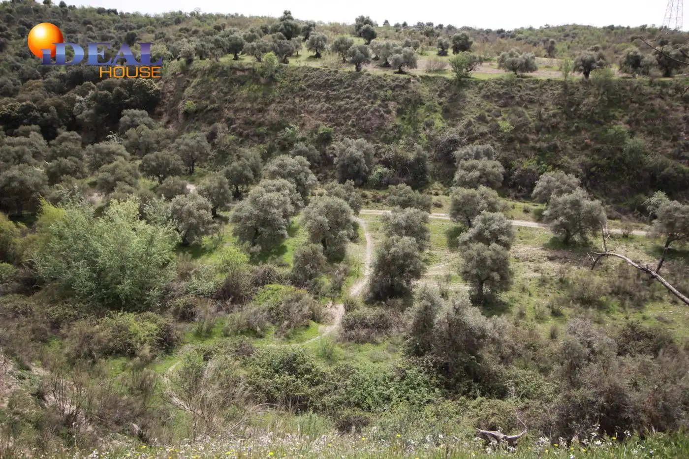 Country homes for sale in Víznar